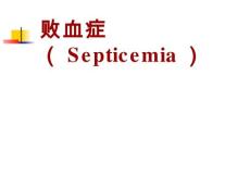 败血症【32页】