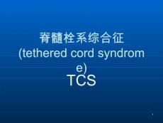 脊髓栓系综合征【24页】