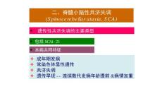 脊髓小脑性共济失调【15页】