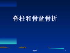 脊柱骨折和骨盆骨折【95页】