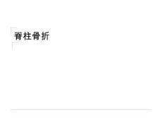 脊柱骨折【34页】