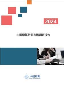 中國綠氫行業(yè)市場調(diào)研報告2024