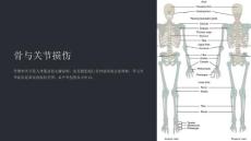 《骨与关节损伤》课件
