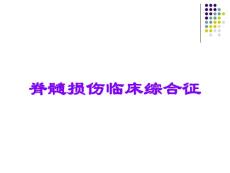 脊髓损伤临床综合征