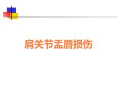 肩关节盂唇损伤