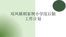 雙鳳鎮(zhèn)胡家壩小學(xué)度后勤工作計(jì)劃