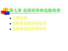 花藥和花粉培養-6