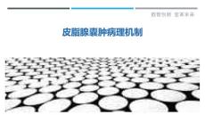 皮脂腺囊肿病理机制-剖析洞察