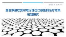 莫匹罗星软膏对难治性伤口感染的治疗效果机制研究-剖析洞察