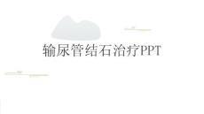 输尿管结石治疗PPT