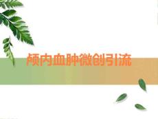颅内血肿微创引流