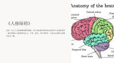 《人格障碍》课件
