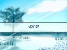 股骨头坏死分期-PPT