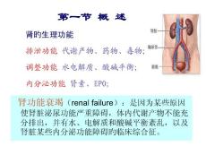 肾功能衰竭课件