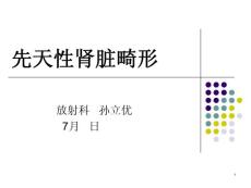 先天性肾脏畸形课件