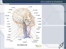 颈内动脉海绵窦瘘课件