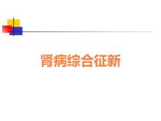肾病综合征新