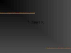 军团菌肺炎PPT课件