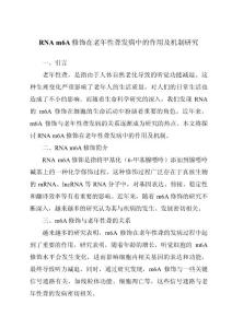 RNA m6A修饰在老年性聋发病中的作用及机制研究