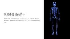 《胸腰椎骨折的治疗》课件