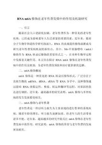 RNA m6A修饰在老年性聋发病中的作用及机制研究