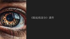 《眼底病部分》课件