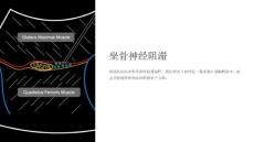 坐骨神经阻滞课件