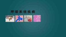 大叶性肺炎【20页】