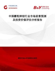 中国霰粒肿钳行业市场前景预测及投资价值评估分析报告：市场调研在线网