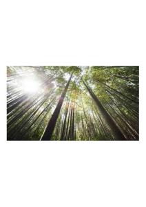 風景類 (44)