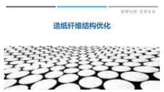 造纸纤维结构优化