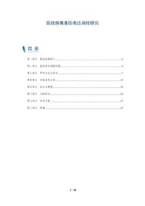 跖疣病毒基因表达调控研究-深度研究