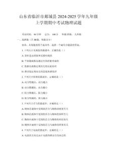 山东省临沂市郯城县2024-2025学年九年级上学期期中考试物理试题