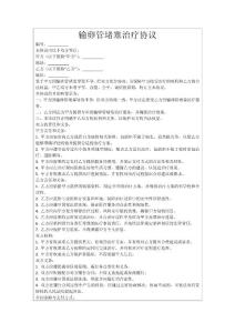 输卵管堵塞治疗协议