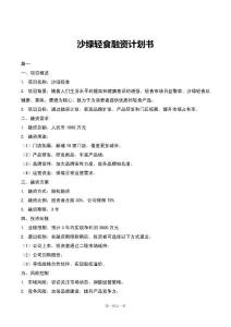 沙綠輕食融資計劃書