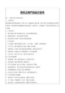 农村土特产创业计划书