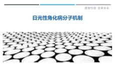 日光性角化病分子机制-剖析洞察