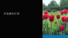 《卵巢囊肿护理》课件