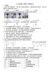 2.2细胞练习——2023-2024学年浙教版七年级上册科学
