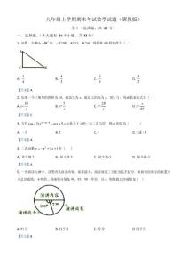 2  九年級上學期期末數學試題