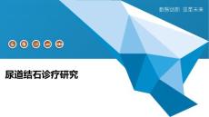 尿道结石诊疗研究-全面剖析