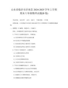 山东省临沂市沂南县2024-2025学年上学期期末八年级物理试题(B卷)