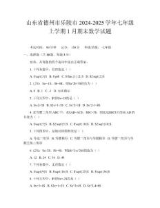 山東省德州市樂陵市2024-2025學年七年級上學期1月期末數學試題
