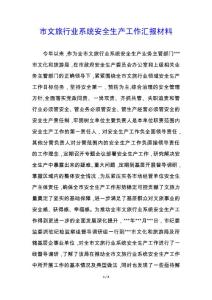 市文旅行業系統安全生產工作匯報材料