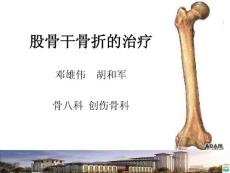 股骨干骨折骨折PPT课件