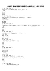 一级建造师《民航机场实务》湖北省黄冈市团风县2025年高分冲刺试题含解析