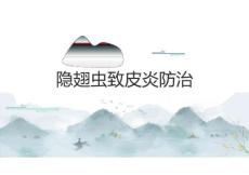 隐翅虫致皮炎防治2025
