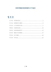 颌骨骨髓炎病原菌的分子鉴定-详解洞察