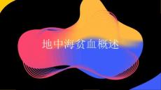 地中海贫血概述2025