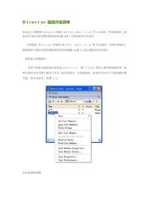 2025年Director 使用技巧